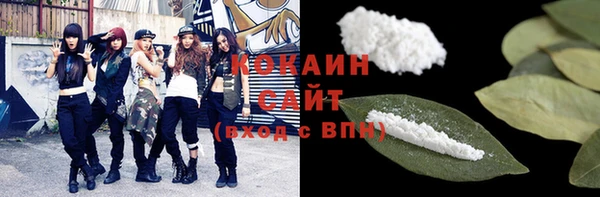 мдпв Вязьма