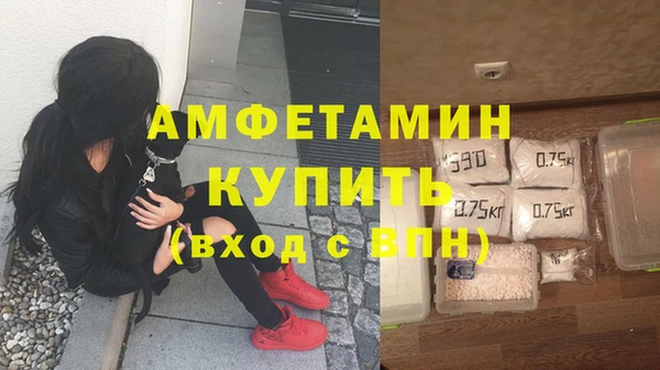 мдпв Вязьма