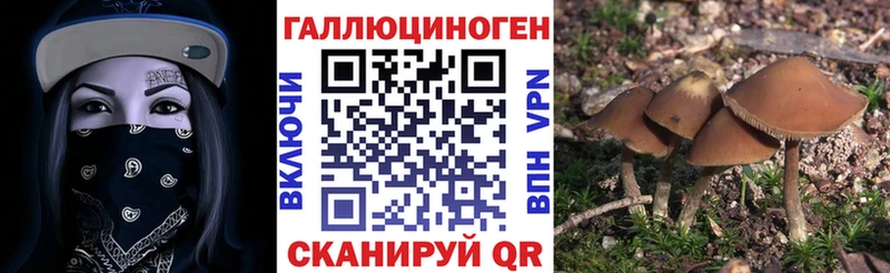 Галлюциногенные грибы прущие грибы  Купить  Константиновск 